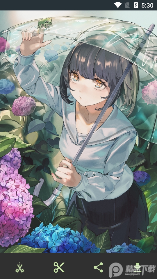 WallHaven壁纸软件app6.6.6 绿色无广告版