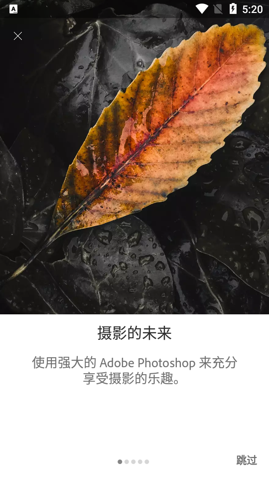 Adobe Lightroom手机版高级解锁版7.4.0 最新版