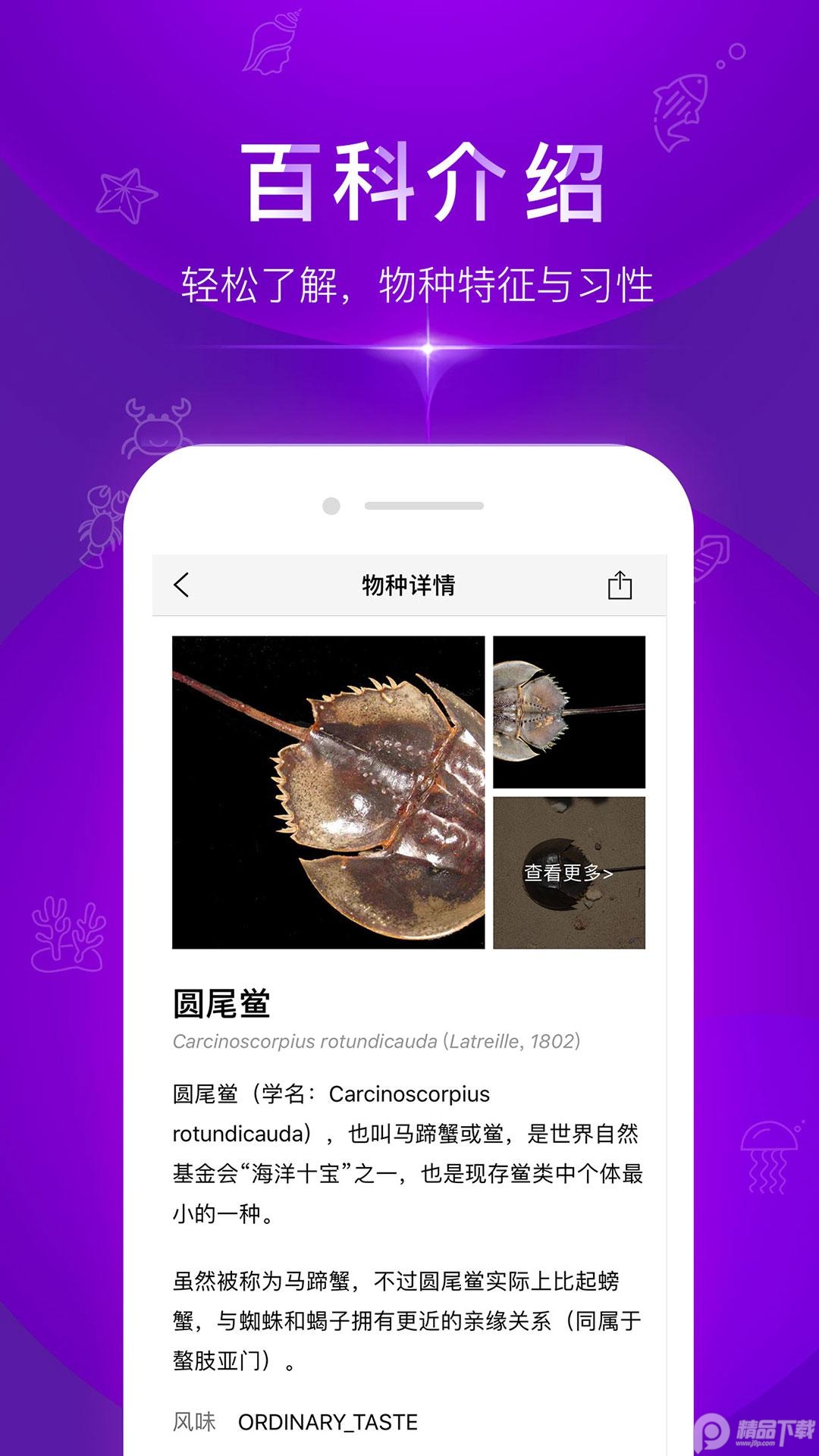 问鱼拍照识别海洋生物1.1.14 官方最新版