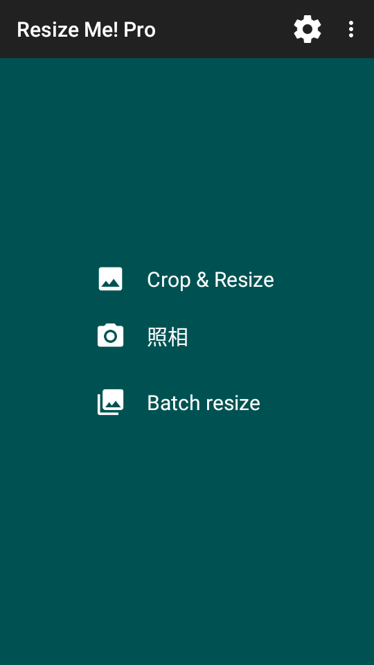照片调整器Resize Me! Pro破解版2.2.8最新版
