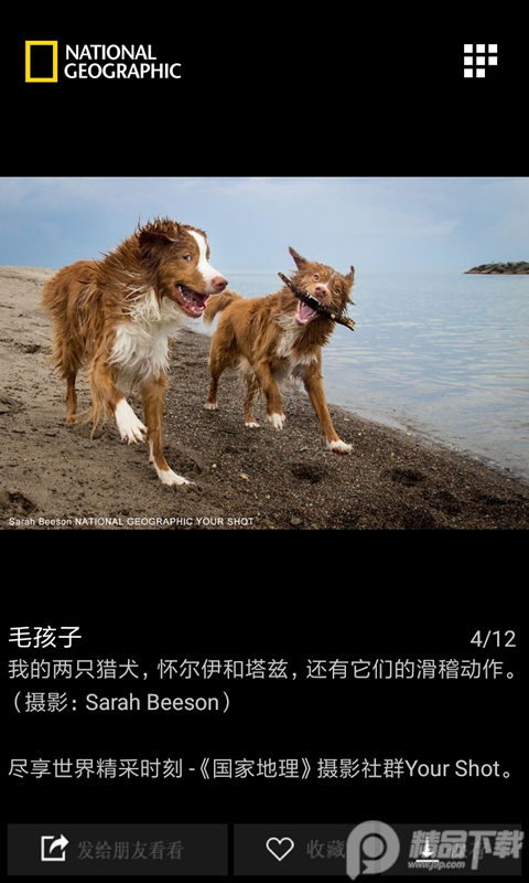 国家地理每日精选软件2.6.1 安卓版