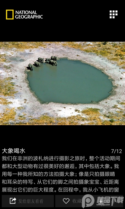 国家地理每日精选软件2.6.1 安卓版