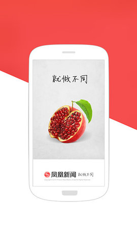 凤凰新闻专业版