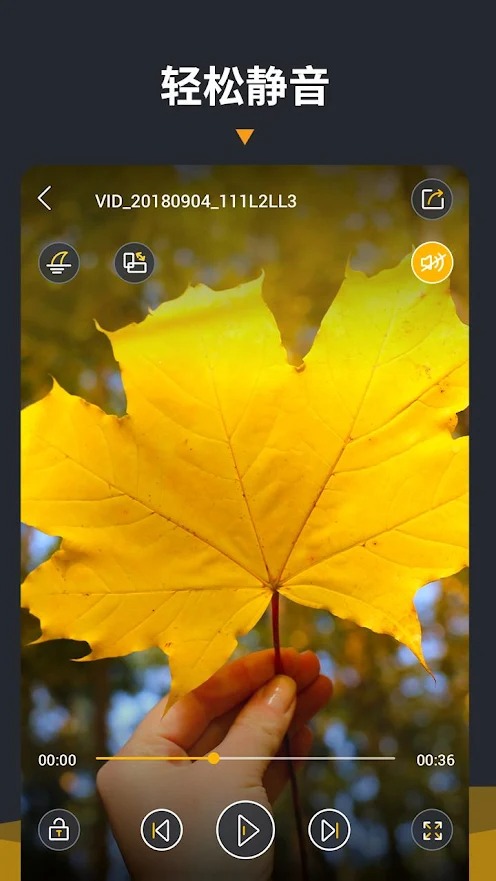 视频播放器(Video Player)最新版