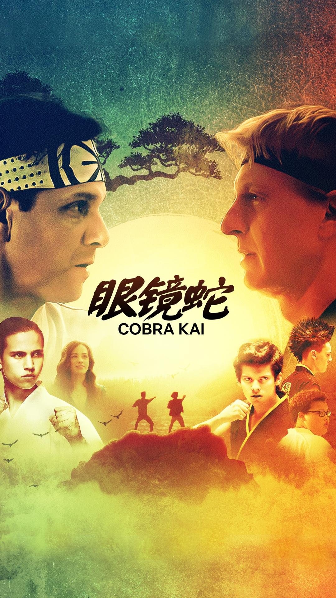 Netflix高级版