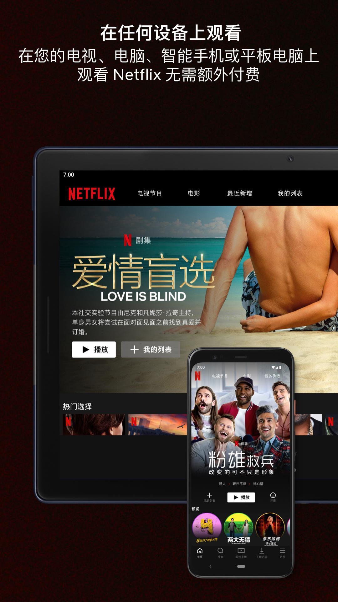 Netflix高级版