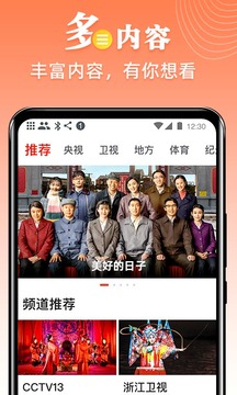 爱看电视TV大字版
