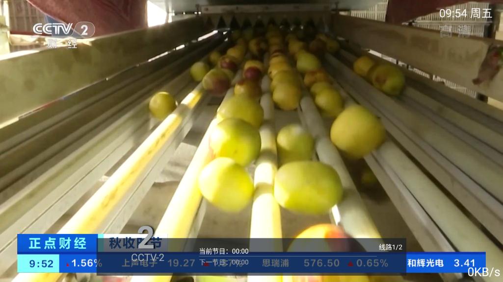 精英tv港澳台直播去广告版