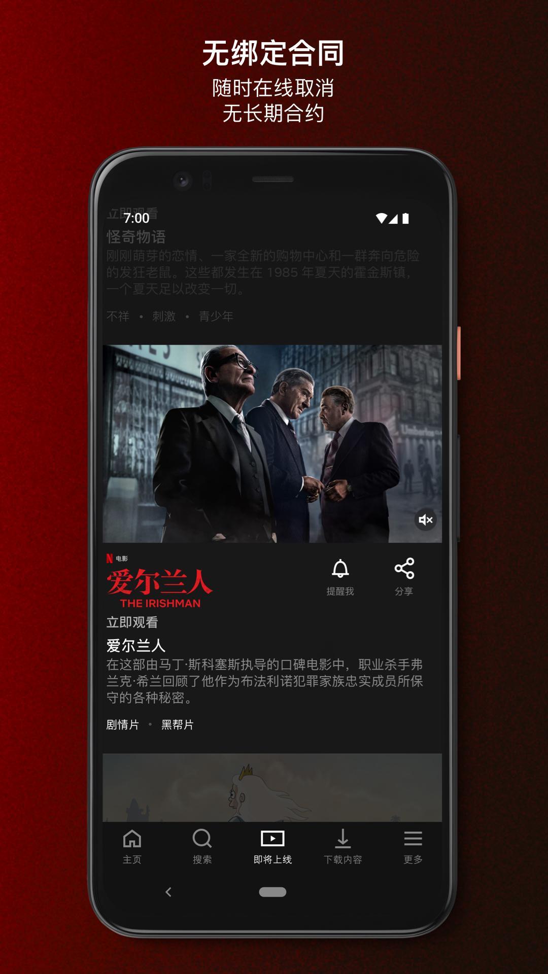 Netflix高级版