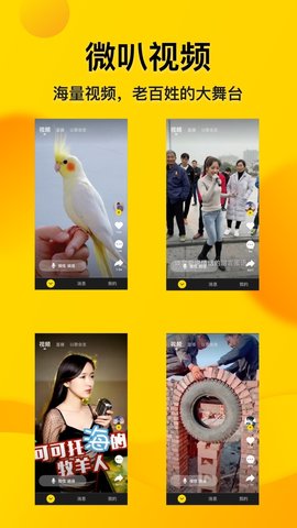 好看大字版app