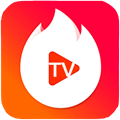 黑龙影视TV版