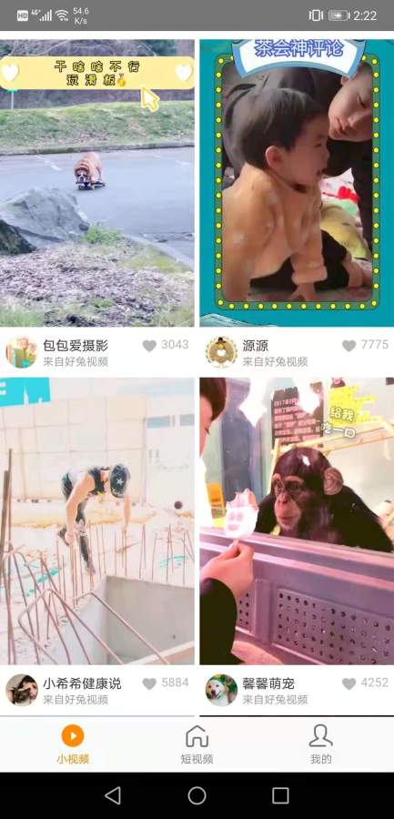 红小狗视频app手机版