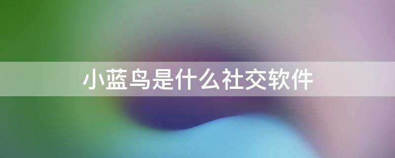 小蓝鸟twitter破解版下载