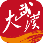 大武汉客户端6.7.1 最新版