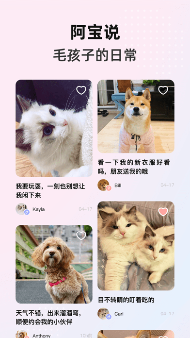 阿宝说官方版