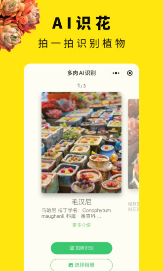 多肉圈官方最新版