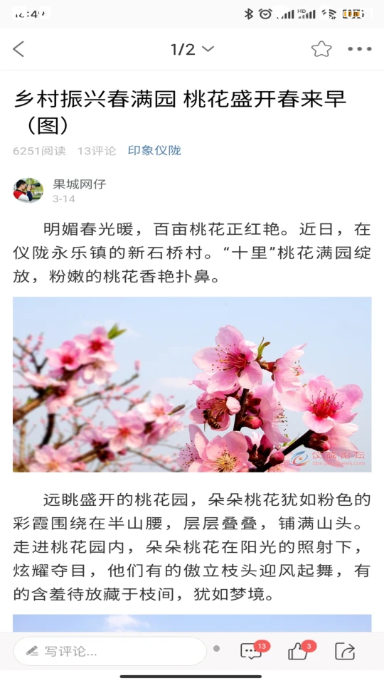 智慧仪陇安卓V5手机最新版