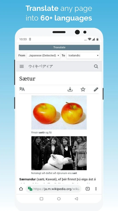 kiwi浏览器Kiwi Browser安卓版105.0.5195.26 最新版