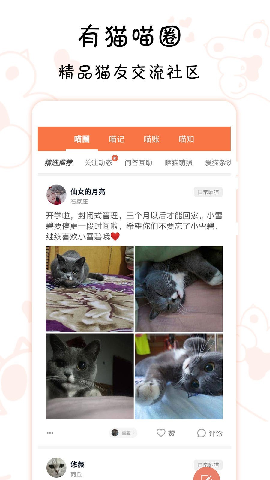 领喵无偿领养平台