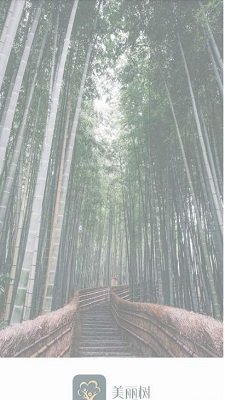 美丽树贷款入口v2.0
