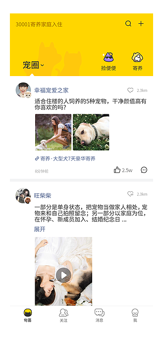 句苗岛宠物社区官方版