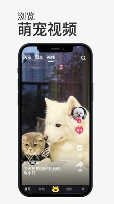 小宠书宠物社区官方版