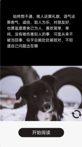 短知句子大全