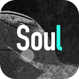Soul分身版