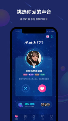 折耳年轻人交友