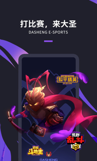 大圣电竞赏金赛下载