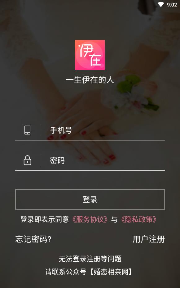 伊在相亲交友征婚会员版