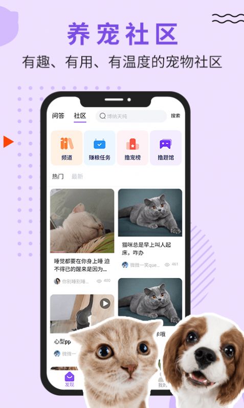 luby宠物问答社区