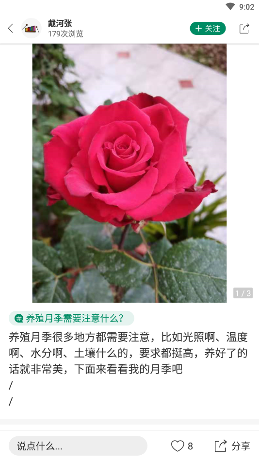 庆祝岁月兴趣社交平台