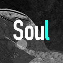 soul孤独星球交友软件