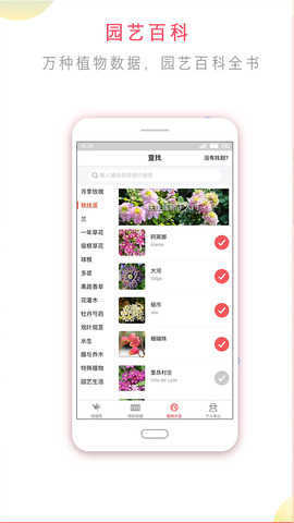 花信一对一聊天