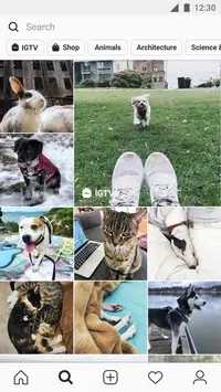instagram下载最新版本2022
