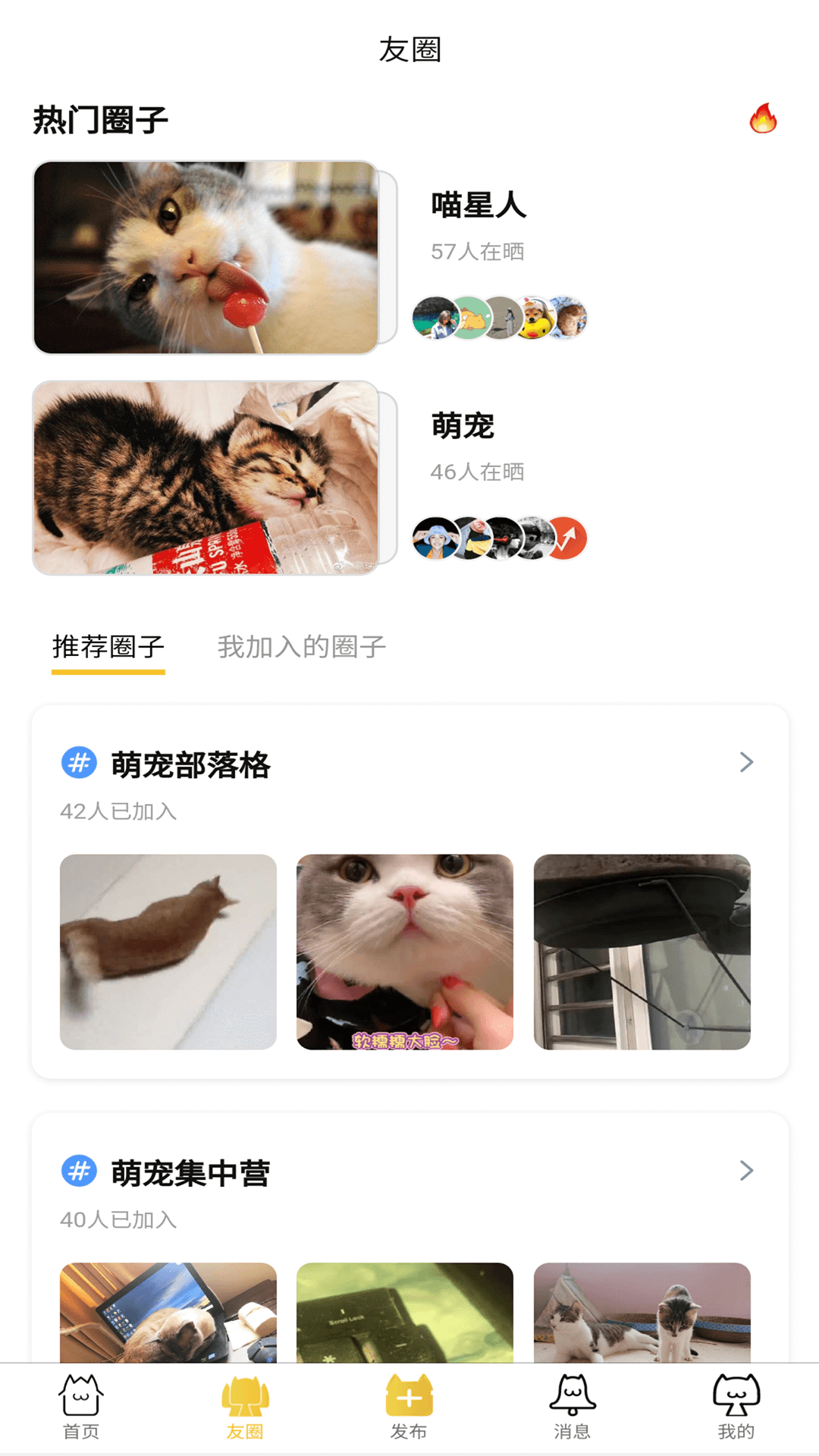 友猫社区手机版