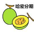 哈密分期appv3.0