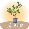 花椒树贷款appv1.4