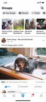 facebook破解版中文版