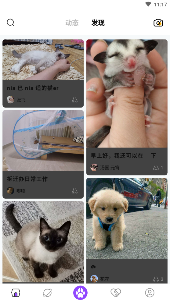 铲屎官养宠社区