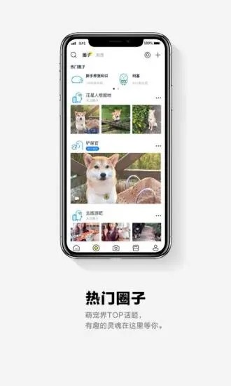 它福宠物社区