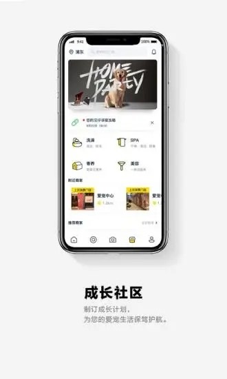 它福宠物社区