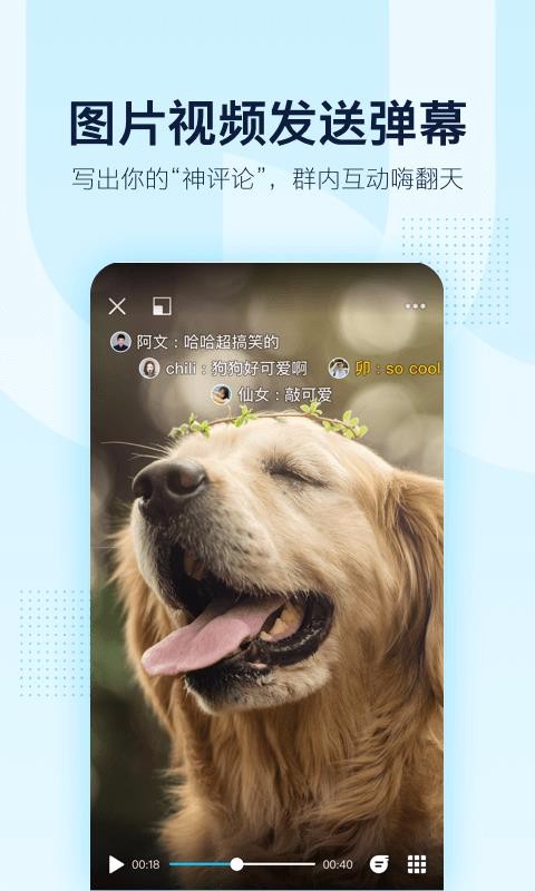 QQ群橱窗内测版