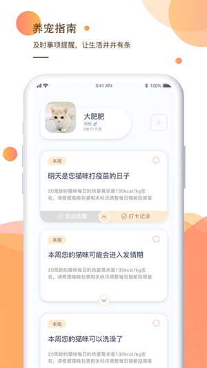 一只养宠指南