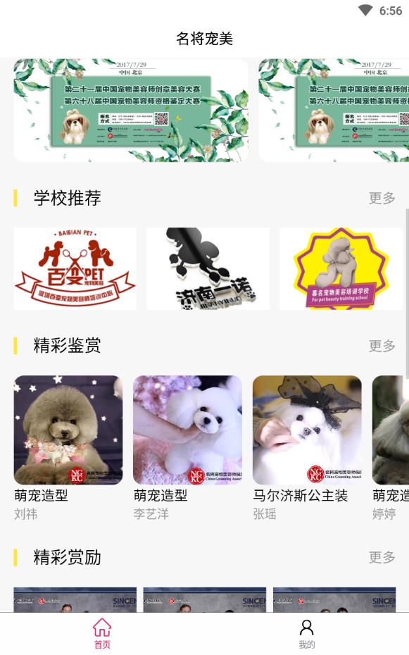 宠美会员免费版
