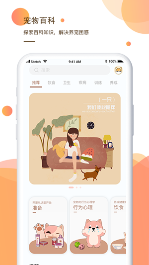 一只养宠指南