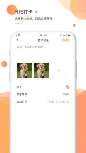 一只养宠指南