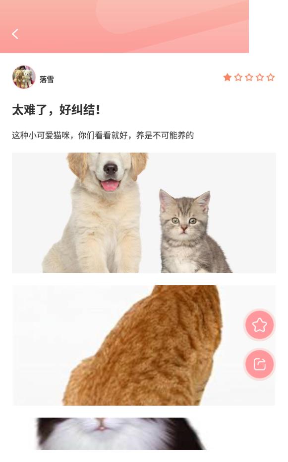 宠物公社手机版