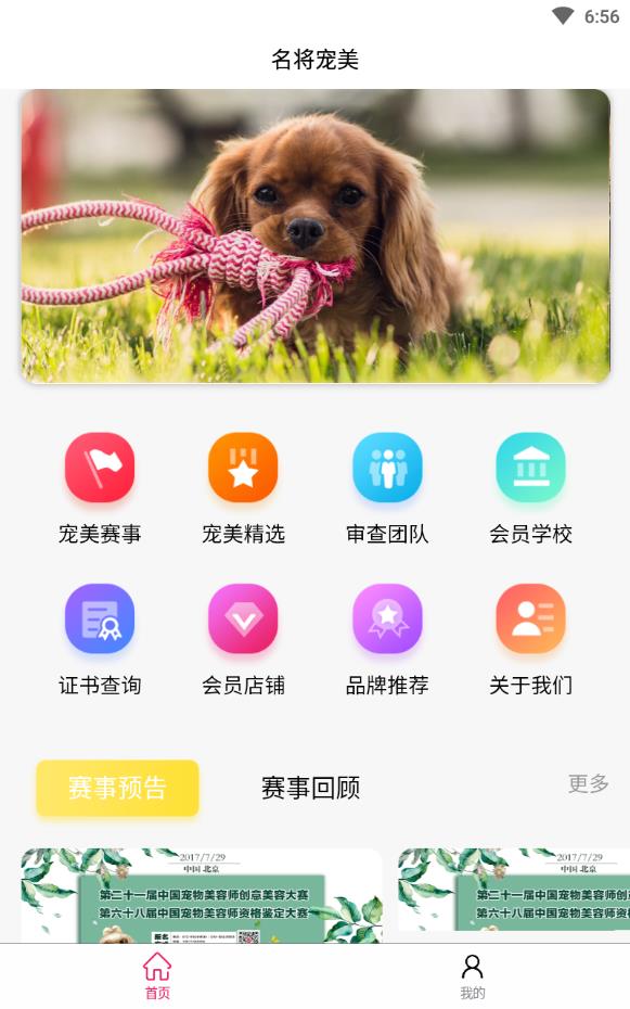 宠美会员免费版